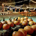 The Ultimate Guide to Accommodations for Fall Festivals in Tarrant County, Texas