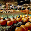 The Best Ways to Stay Updated on Fall Festivals in Tarrant County, Texas