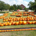 The Benefits of Volunteering at Fall Festivals in Tarrant County, Texas