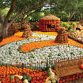 Exploring the Vibrant Fall Festivals in Tarrant County, Texas