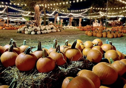 The Ultimate Guide to Accommodations for Fall Festivals in Tarrant County, Texas