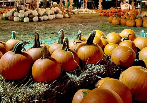 The Best Ways to Stay Updated on Fall Festivals in Tarrant County, Texas