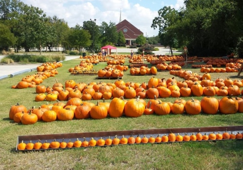 The Benefits of Volunteering at Fall Festivals in Tarrant County, Texas