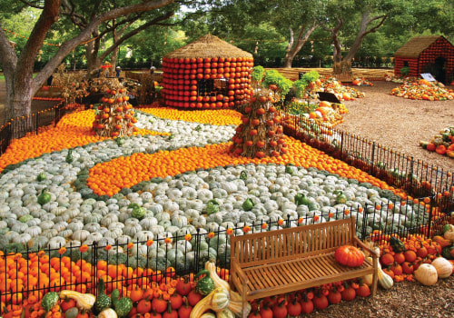 Exploring the Vibrant Fall Festivals in Tarrant County, Texas